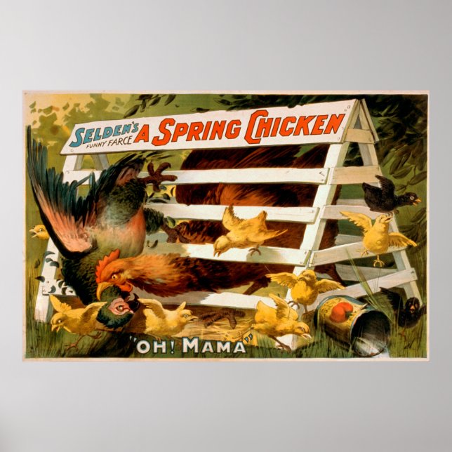 Selden's Funny Farce, A Spring Chicken Play Poster (Front)