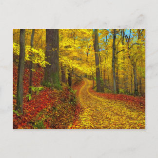 Seldom used road , postcard