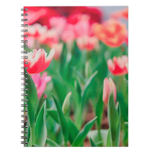 Select focus,  Amazing nature of Beautiful view Vi Notebook