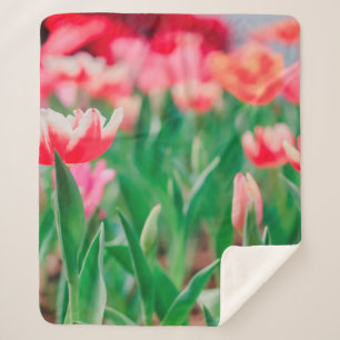 Select focus,  Amazing nature of Beautiful view Vi Sherpa Blanket