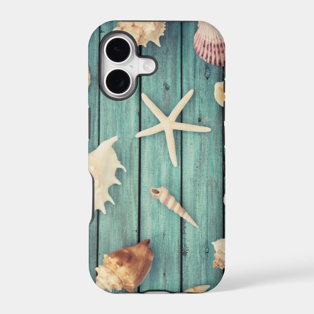 Selection Of Seashells (Back)