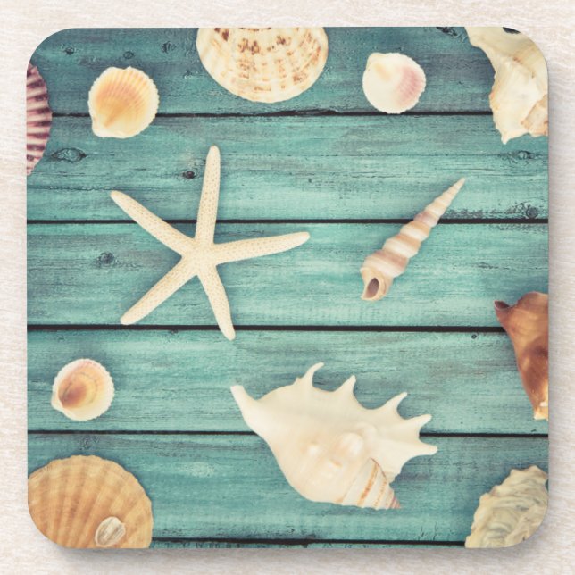 Selection Of Seashells Coaster (Front)