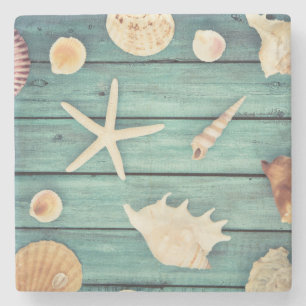 Selection Of Seashells Stone Coaster