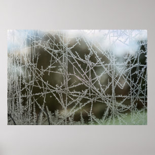 Selective focus of snowflakes poster