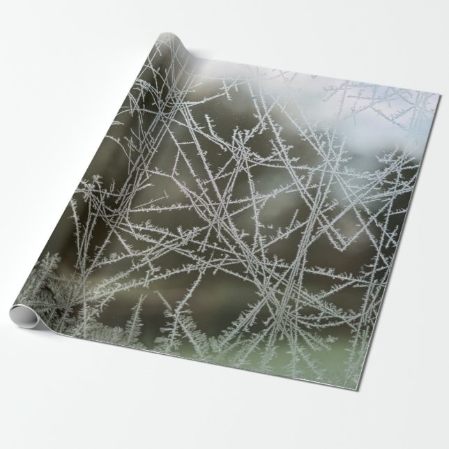 Selective focus of snowflakes wrapping paper (Unrolled)