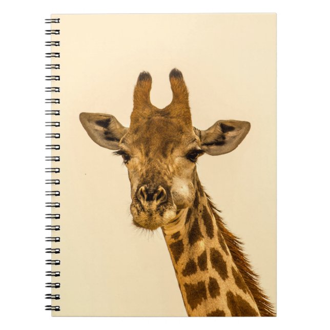 SELECTIVE FOCUS PHOTOGRAPHY OF GIRAFFE NOTEBOOK (Front)