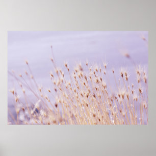 SELECTIVE FOCUS PHOTOGRAPHY OF GRASS FIELD POSTER