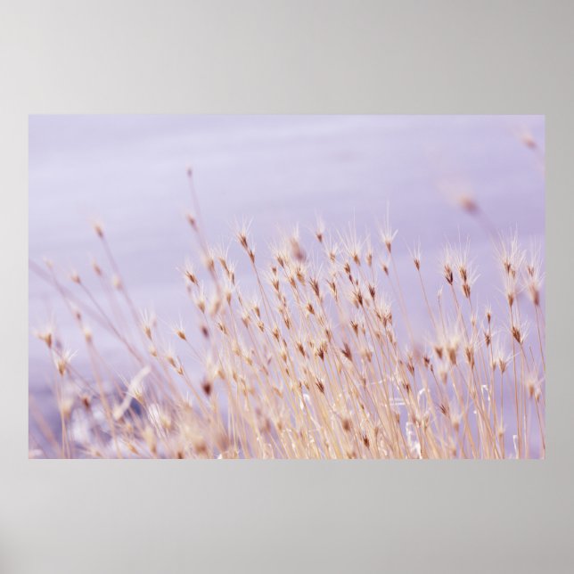 SELECTIVE FOCUS PHOTOGRAPHY OF GRASS FIELD POSTER (Front)