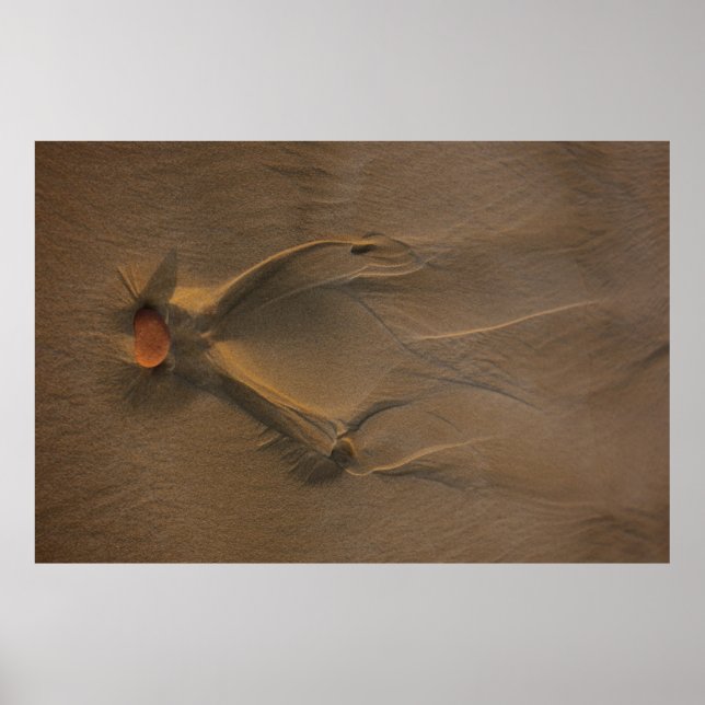 Selective focus photography of sand poster (Front)