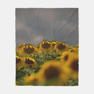 SELECTIVE FOCUS PHOTOGRAPHY OF YELLOW SUNFLOWERS D FLEECE BLANKET