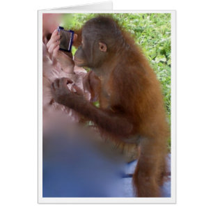 Self Confidence and Pride