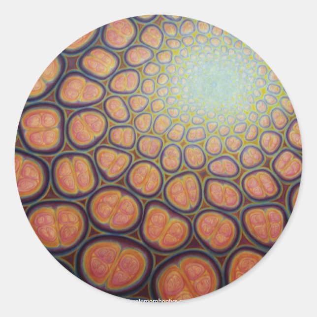Self-Similar Cellular Resonance Classic Round Sticker (Front)