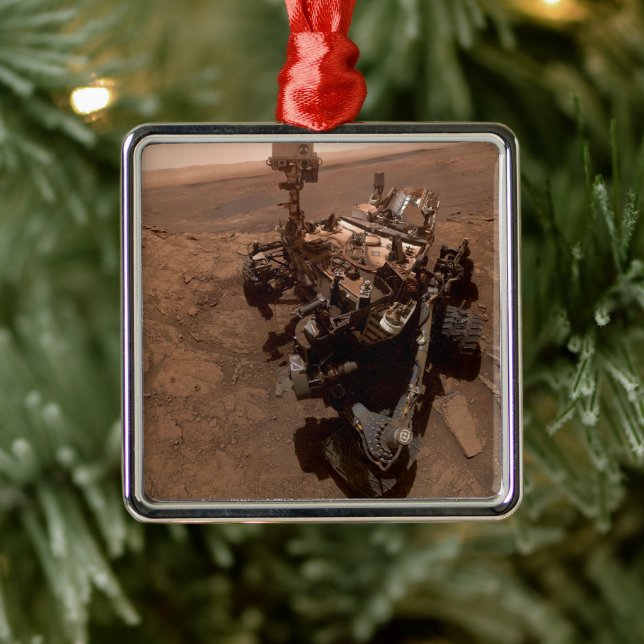Selfie of Mars Curiosity Red Martian Landscape Metal Tree Decoration (Tree)