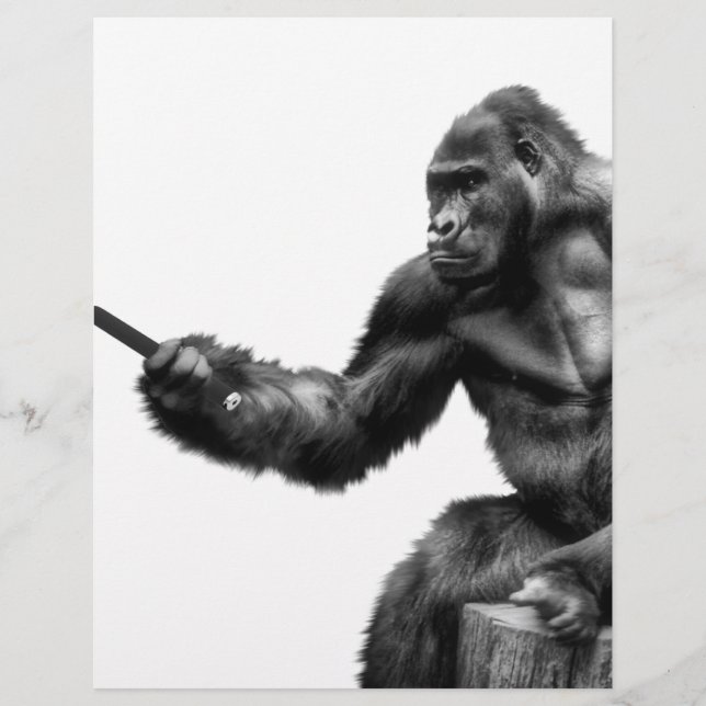 selfie stick (Front)