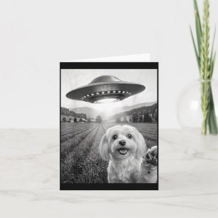 Selfie With Alien Ufo Funny Maltese Dog Mum Dad Card