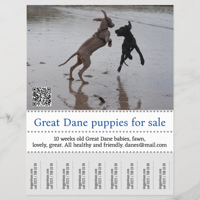 Seller Poster Flyer (Front)