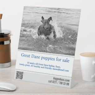Seller Poster Pedestal Sign