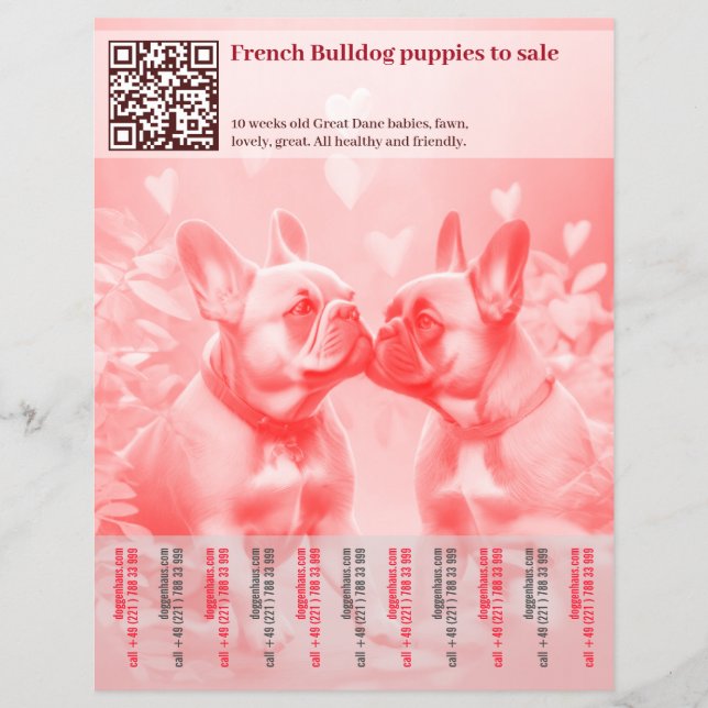 Selling Frenchie Puppies Design Flyer (Front)