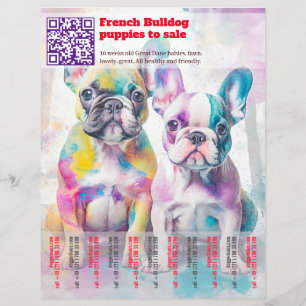 Selling Frenchie Puppies Design Flyer