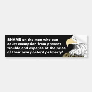 Selling Posterity's Liberty Bumper Sticker