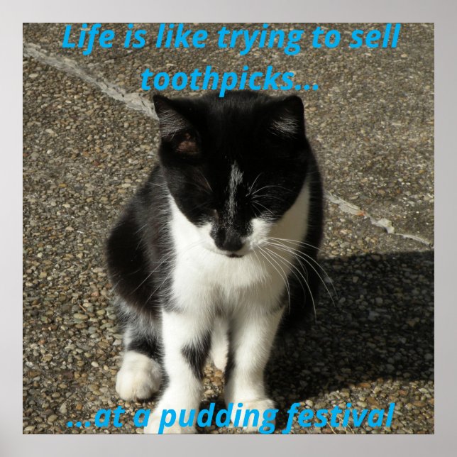 Selling toothpicks at a pudding festival... poster (Front)