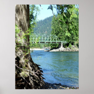 Selway River Poster