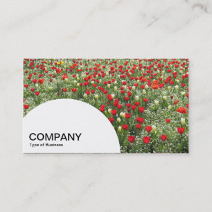 Semi-circle Panel - Bed of Tulips Business Card