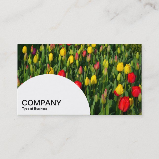 Semi-circle Panel - Colourful Tulips Business Card (Front)
