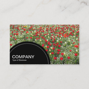 Semi-circle Panel (dots) - Bed of Tulips Business Card