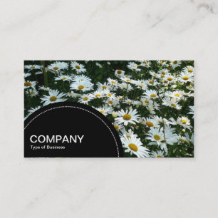 Semi-circle Panel (dots) - Daisies Business Card