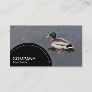 Semi-circle Panel (dots) -  Duck Pond Business Card