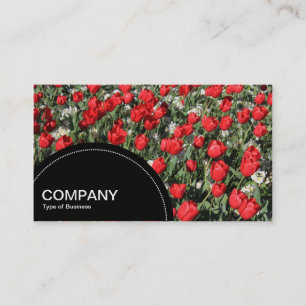 Semi-circle Panel (dots) -  Red Tulips Business Card