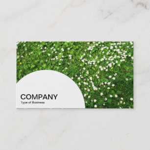 Semi-circle Panel - Grass and Daisies Business Card