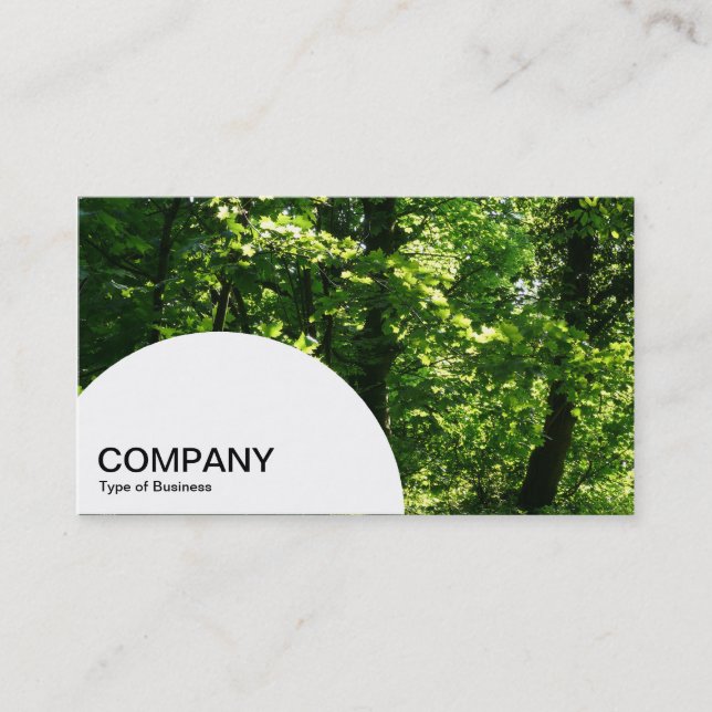 Semi-circle Panel - In the Woods Business Card (Front)