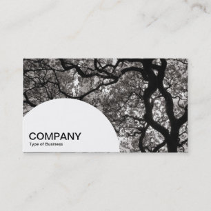 Semi-circle Panel - Magnolia Tree 02 Business Card