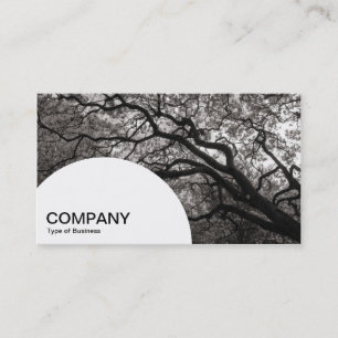 Semi-circle Panel - Magnolia Tree 03 Business Card