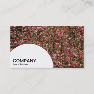Semi-circle Panel - Pink Cherry Blossom 02 Business Card