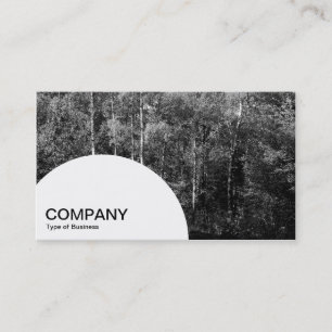 Semi-circle Panel - Silver Birch Business Card