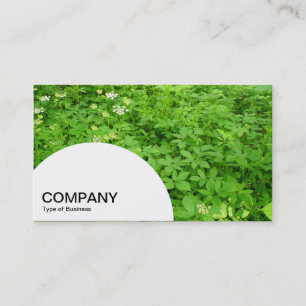Semi-circle Panel - Woodland Undergrowth in Spring Business Card