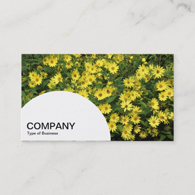 Semi-circle Panel - Yellow Daisies Business Card (Front)