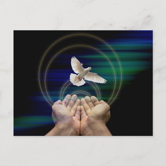 semi-gloss, standard size, peace and doves postcard (Front)