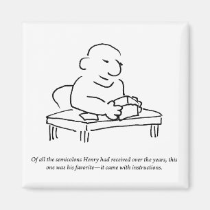 Semicolon Instructions Magnet