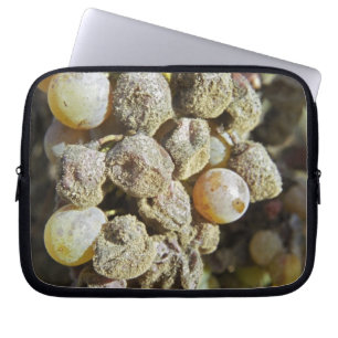 Semillon grapes with noble rot. at harvest time laptop sleeve
