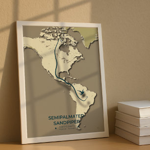 Semipalmated Sandpiper Migration Map – Minimalist  Poster