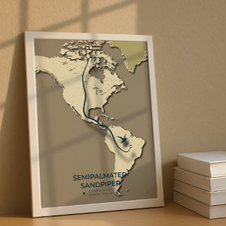 Semipalmated Sandpiper Migration Map – Minimalist Poster