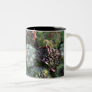 Sempervivum Mug