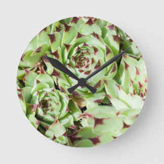 Sempervivum Round Clock