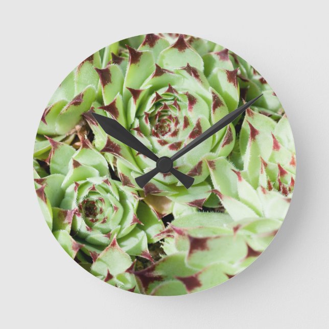 Sempervivum Round Clock (Front)