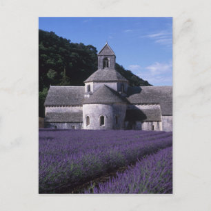 Senanque Abbey, Gordes, Vaucluse, Provence, 2 Postcard
