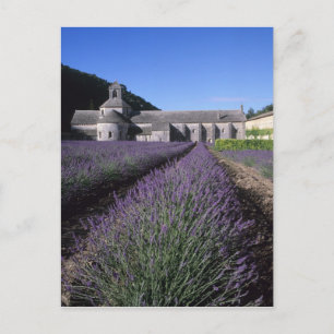 Senanque Abbey, Gordes, Vaucluse, Provence, Postcard